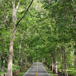 Old Frankfort Pike Historic and Scenic Byway